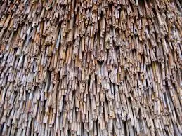 Proizvodnja-krovova-od-trske-Temerin2