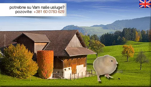 ProizvodnjaiservisinkubatoraPožarevacSrbija