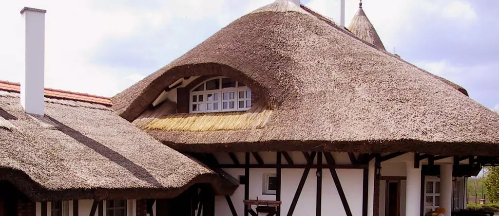 ProizvodnjakrovovaodtrskeTemerin ProizvodnjakrovovaodtrskeTemerin