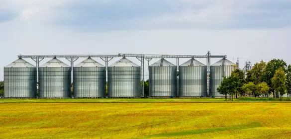 ProizvodnjakukuruzapšeniceisuncokretaKovin1