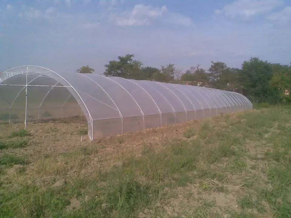 ProizvodnjaplastenikapomeriČokaSubotica2