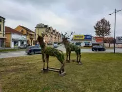 Projektovanje uredjenje i održavanje zelenih površina Čačak