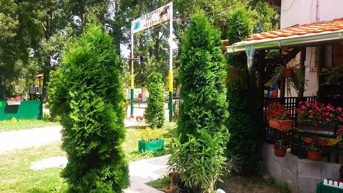 Proslava-dečijih-rođendana-na-otvorenom-Niška-Banja1 Proslava-dečijih-rođendana-na-otvorenom-Niška-Banja1