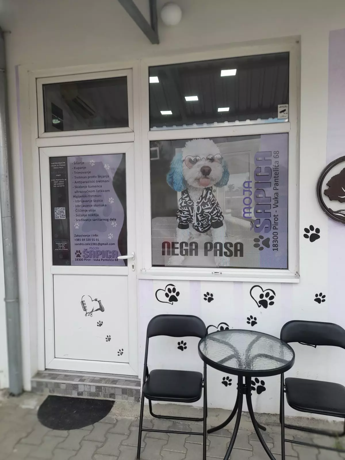 SalonzaneguišišanjepasaPirot3