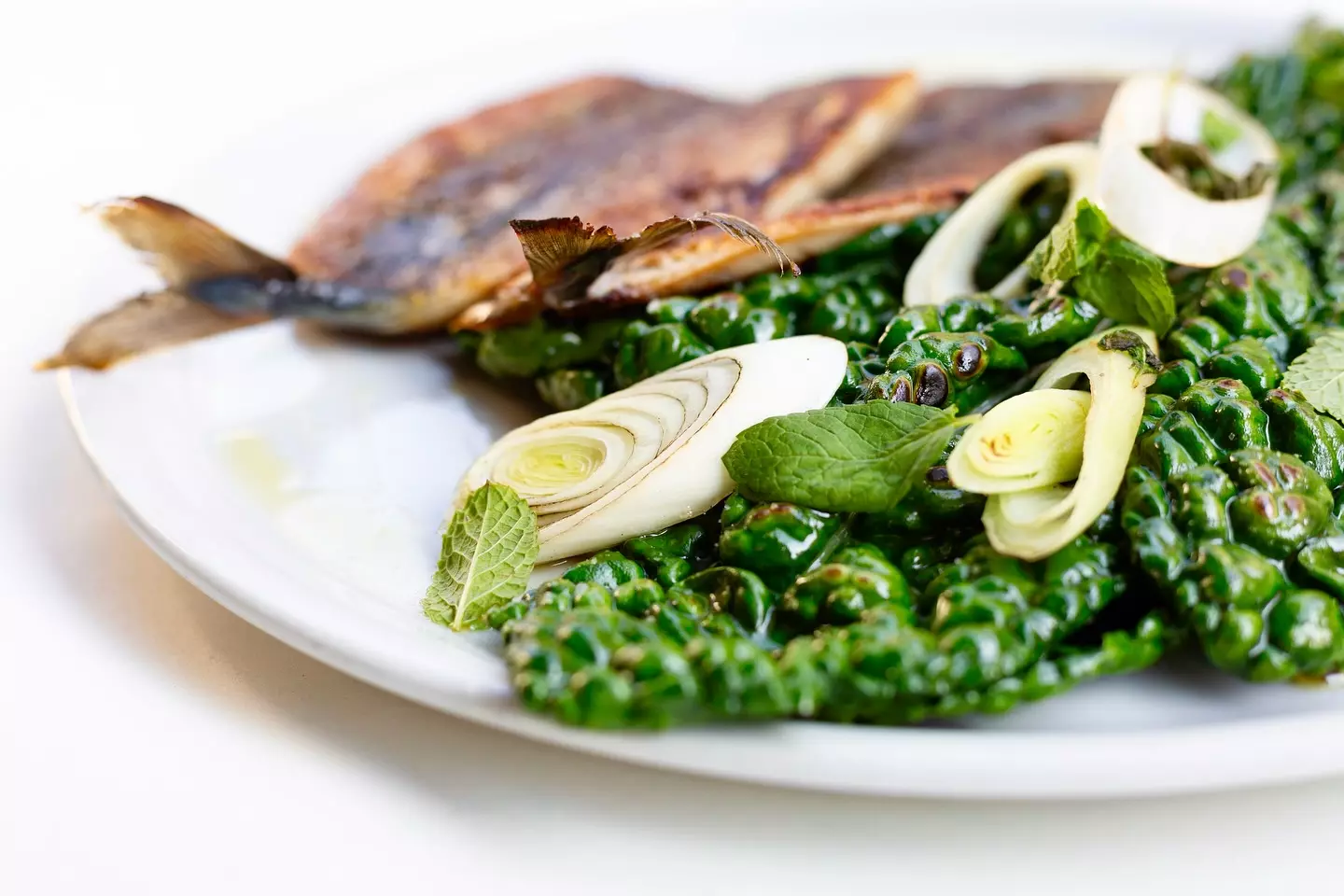 Specijaliteti od divlje ribe Novi Sad Specijaliteti od divlje ribe Novi Sad