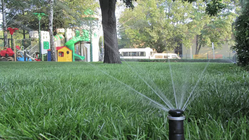 Uređenje zelenih površina tepih