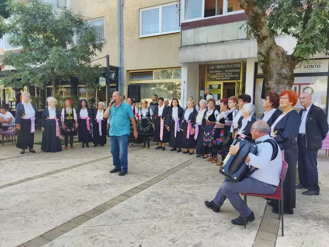 UdruženjepenzioneraorganizovanjeputovanjaopštineKnjaževac