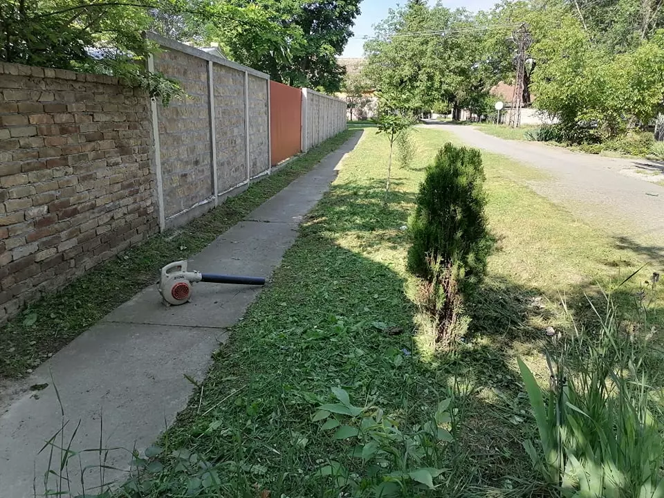 UređenjejavnihpovršinaAda