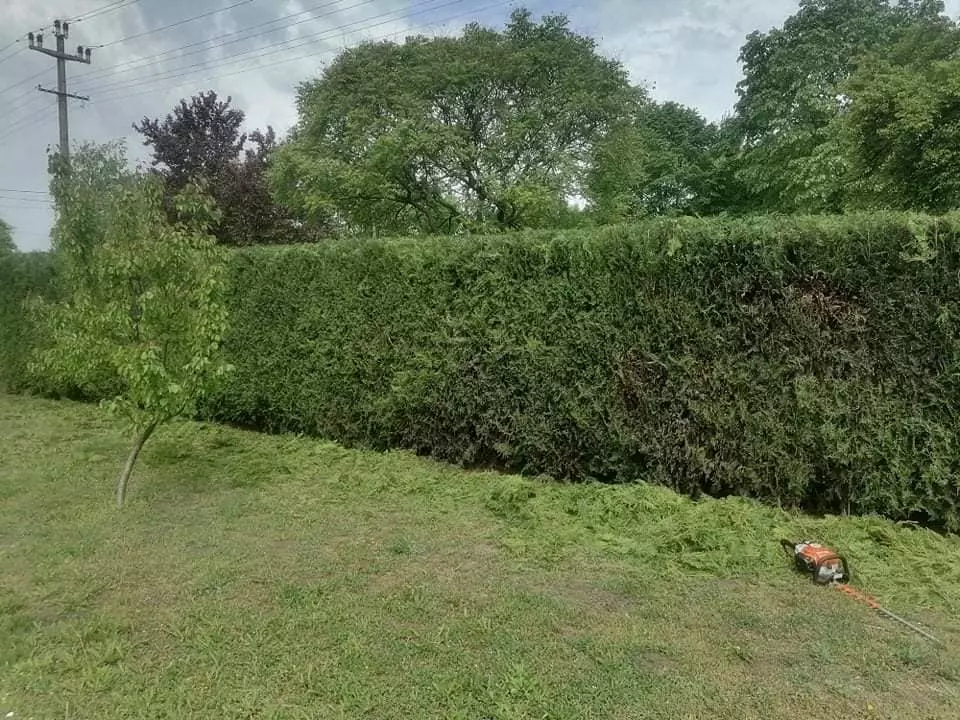 UređenjezelenihpovršinaAda