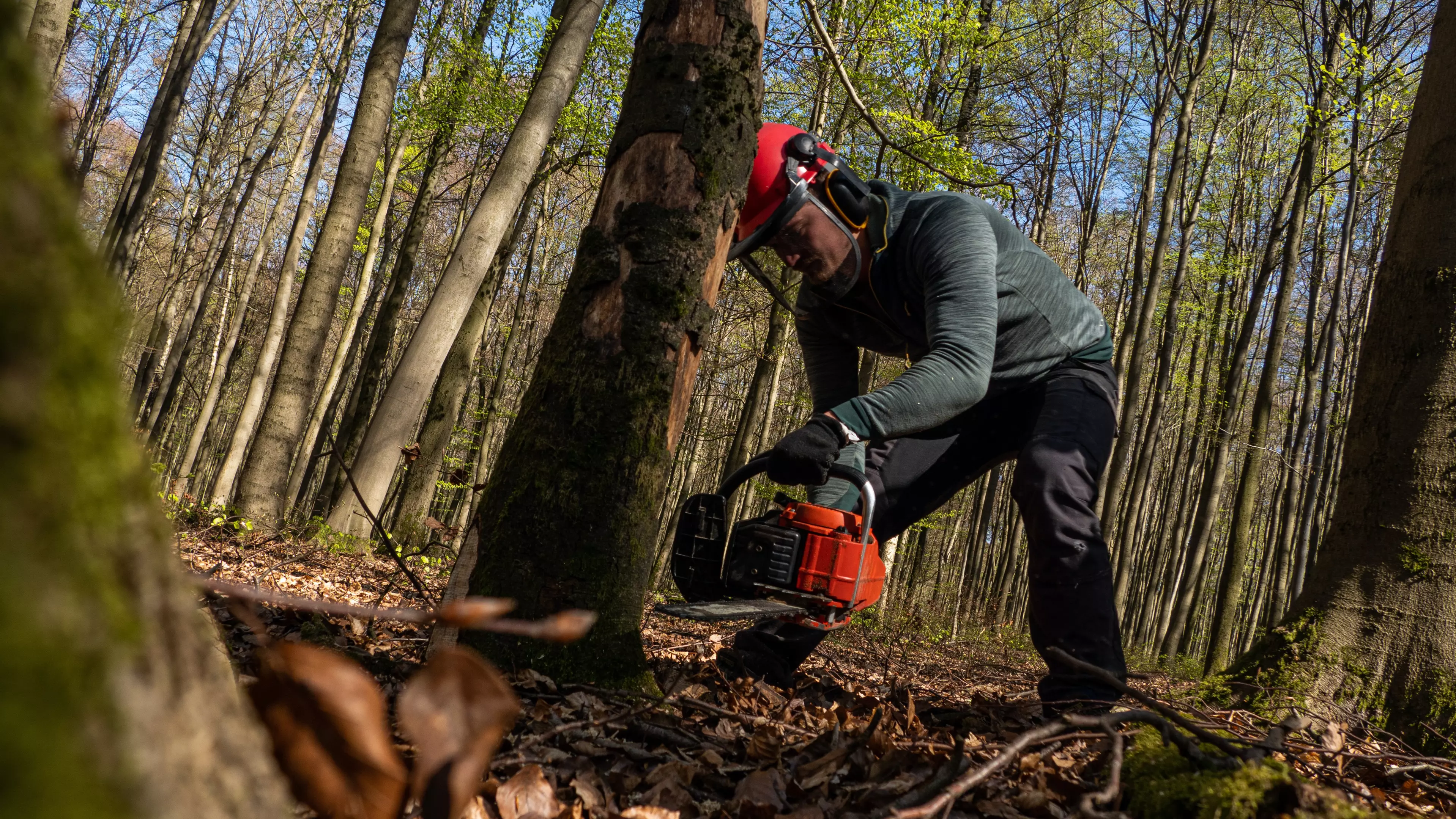 UslužnorezanjedrvetaPljevlja UslužnorezanjedrvetaPljevlja