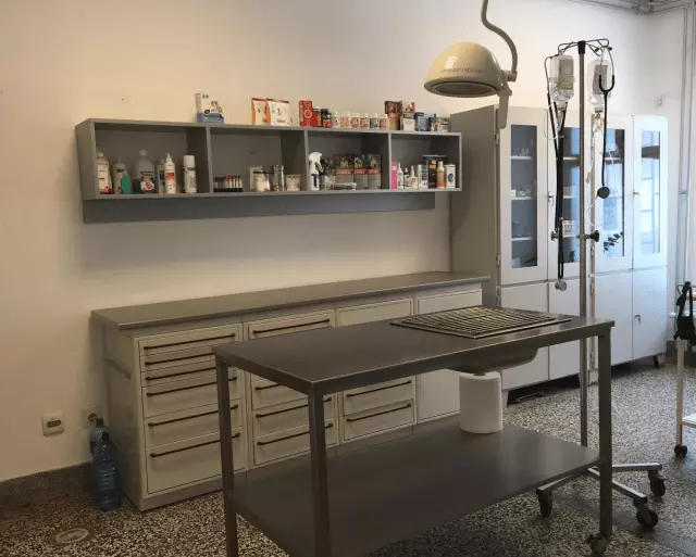 Vakcinacija-ljubimaca-Obrenovac3