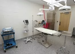 Veterinarska-dijeta-za-ljubimce-Stari-grad-Beograd1