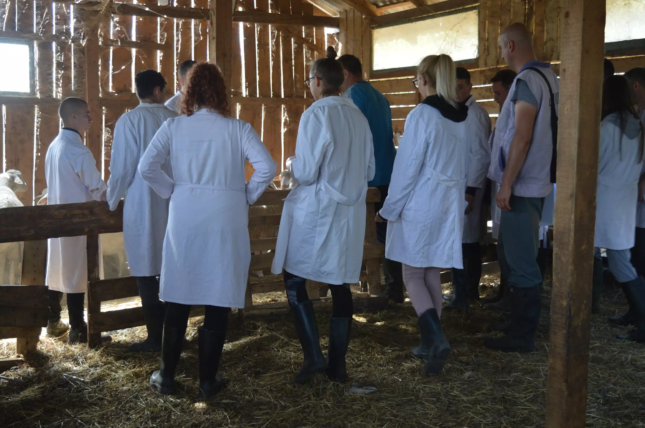 VeterinarskitehničarRekovac2