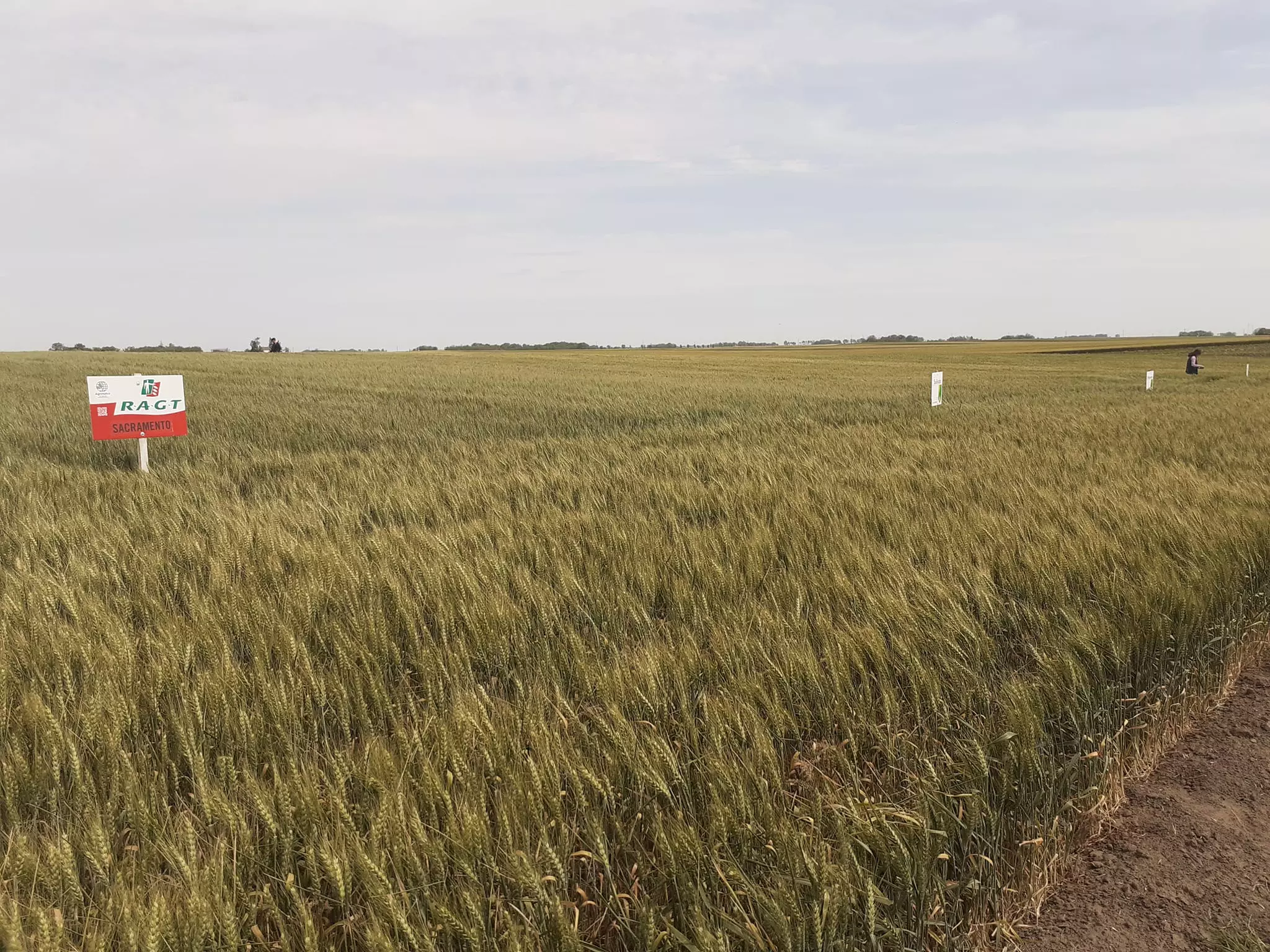 ZemljoradničkazadrugaGornjiBreg1 ZemljoradničkazadrugaGornjiBreg1