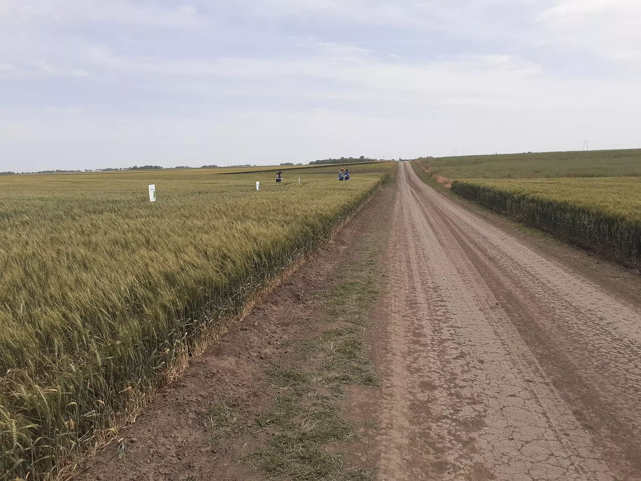 ZemljoradničkazadrugaGornjiBreg2 ZemljoradničkazadrugaGornjiBreg2