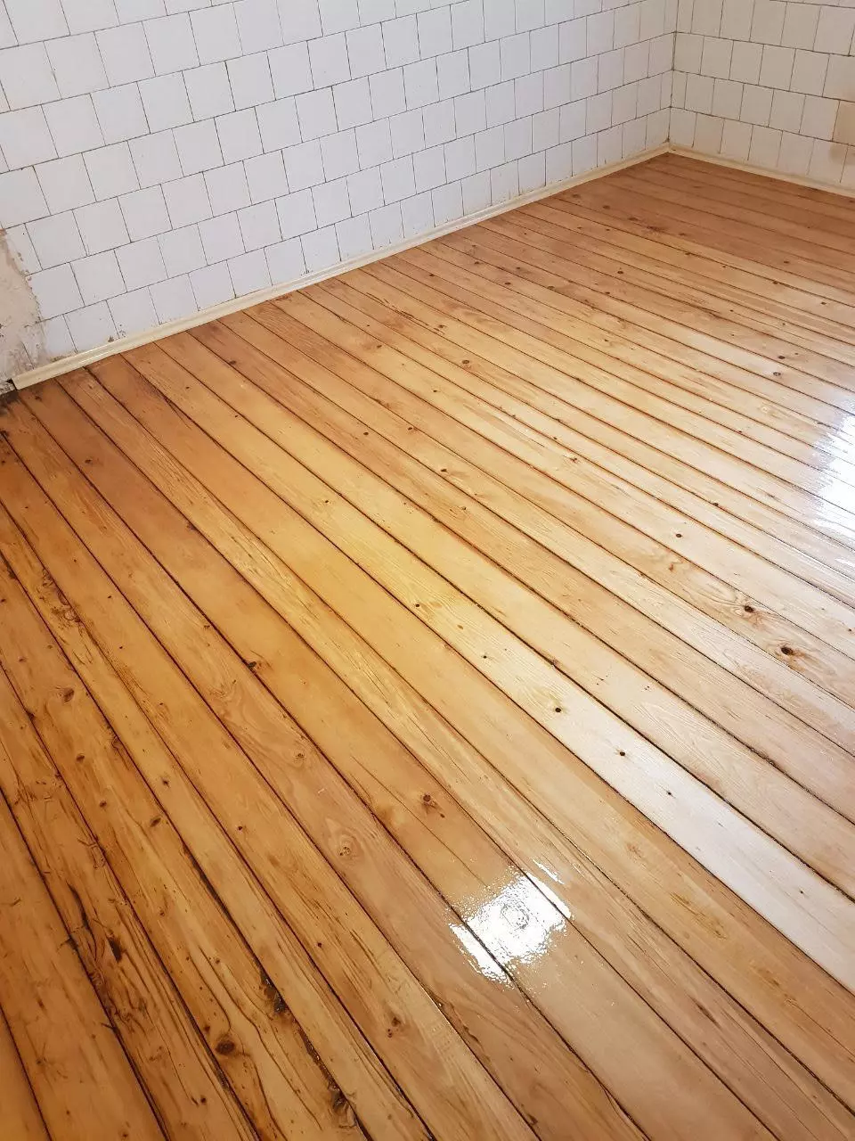 evro-oaket evro-oaket