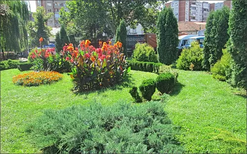 javno-preduzeće-komunalac-pirot