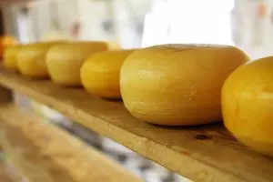 mleko-i-mlečni-proizvodi-mrmoš3 mleko-i-mlečni-proizvodi-mrmoš3