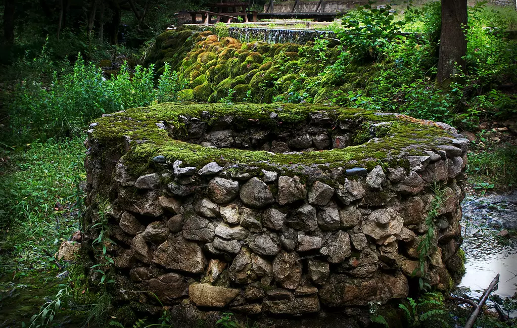 najkvalitetnijebusenjebunaranissrbija