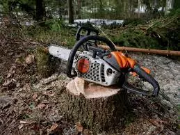 prodajaiservismotornihtesteraVeternik