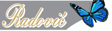 ZTR RADOVIĆ