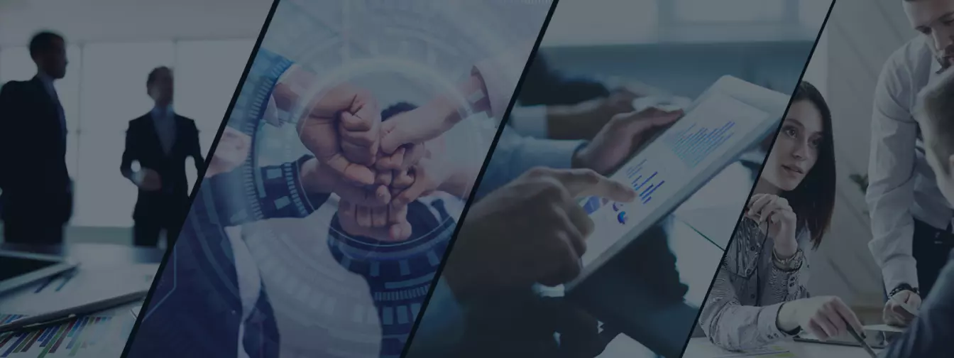 Konsultantske usluge, biznis planovi, revizija