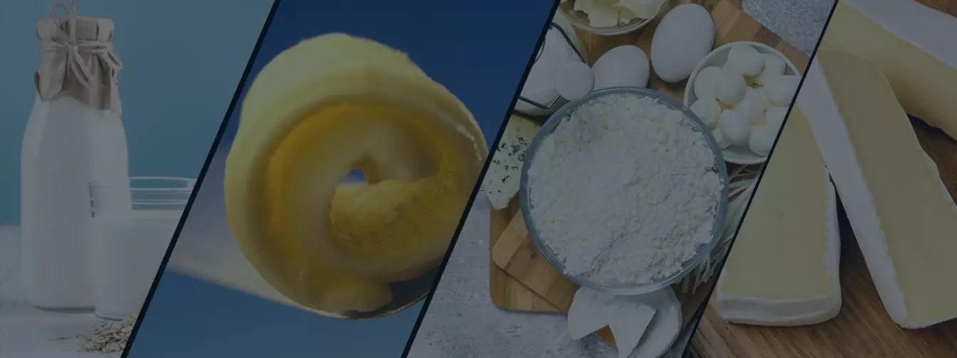 Mleko i mlečni proizvodi