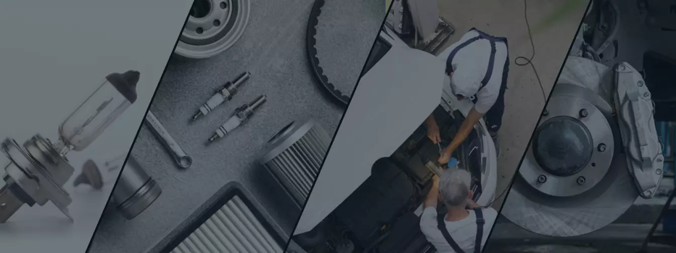 Putnički automobili, delovi i servis