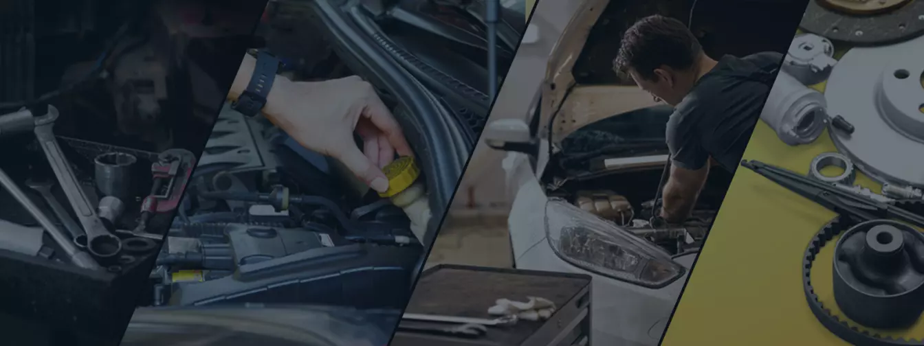 Putnički automobili, delovi i servis