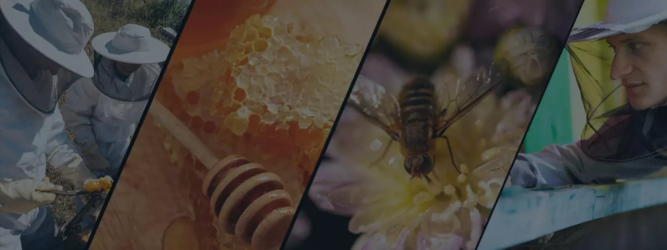 Pčelarstvo i oprema