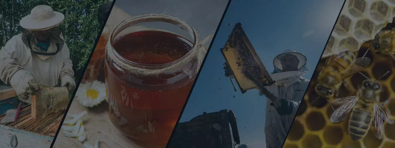 Pčelarstvo i oprema