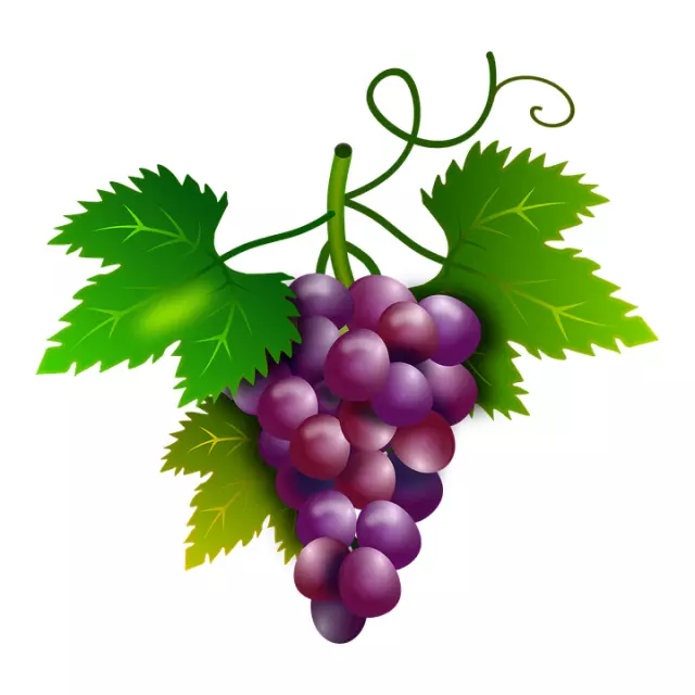 Proizvodnja loznih sadnica i reprodukcionog materijala Trstenik (1)