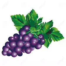 Proizvodnja loznih sadnica i reprodukcionog materijala Trstenik (2).jpg