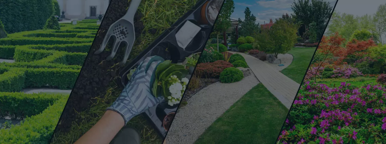 Pejzaž i uređenje eksterijera