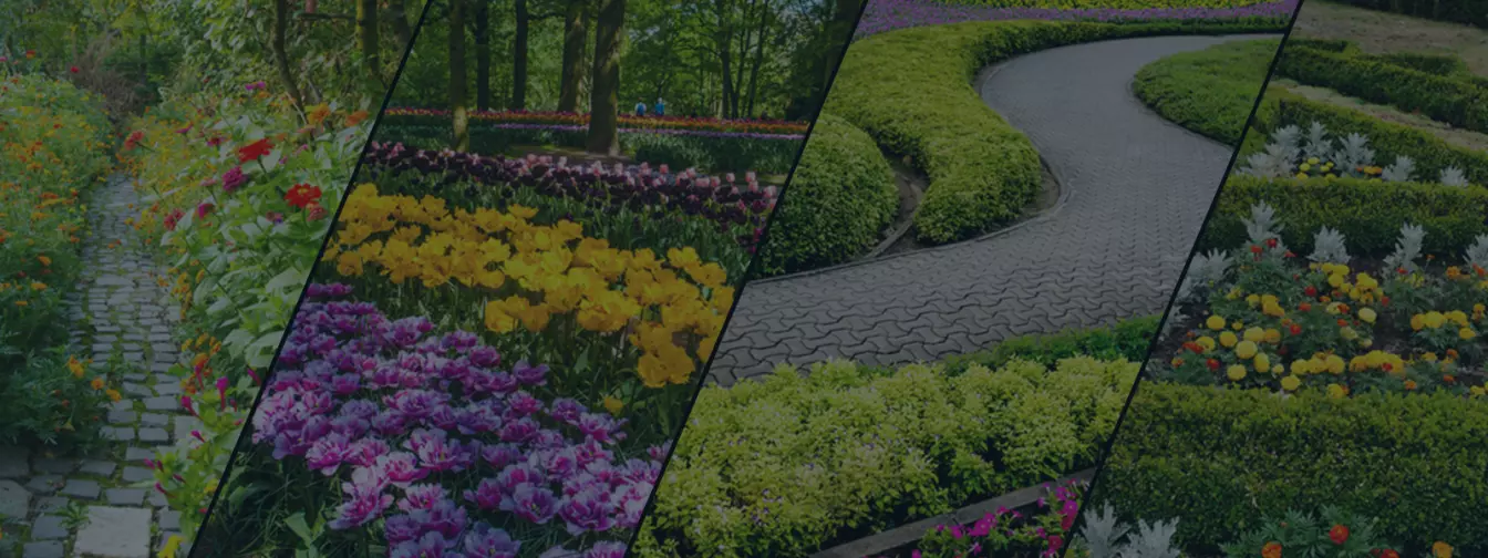 Pejzaž i uređenje eksterijera