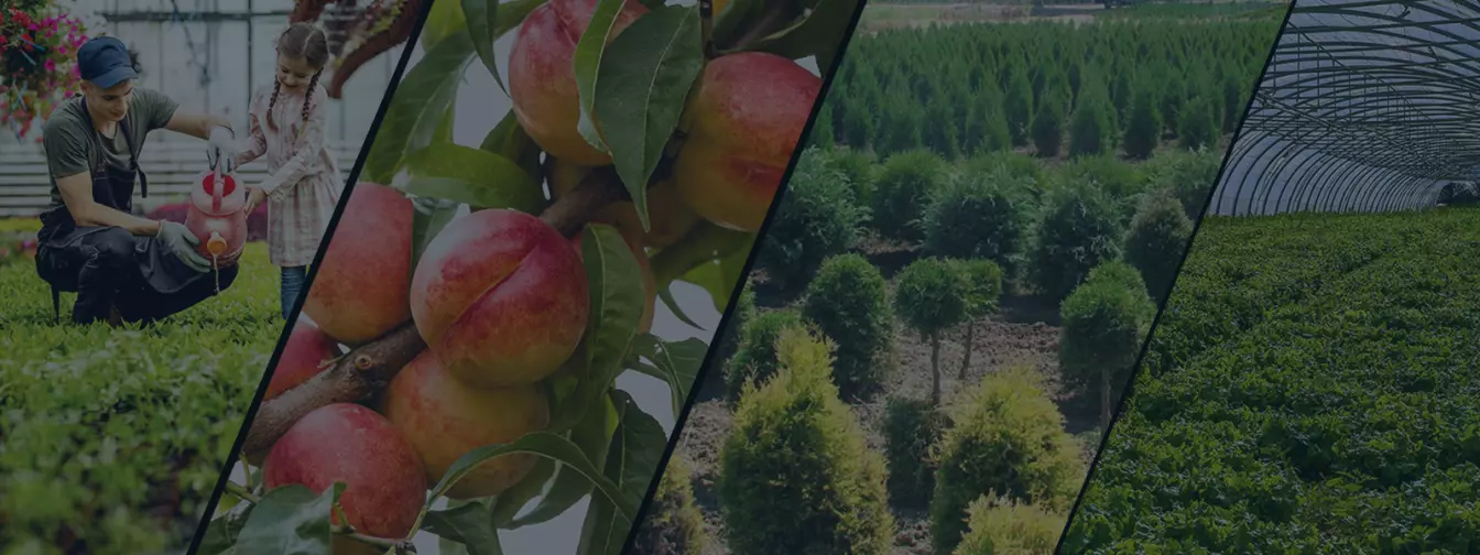 Hortikultura i rasadnici