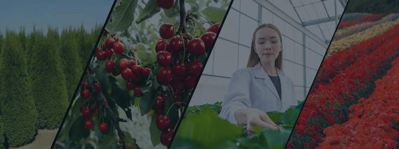 Hortikultura i rasadnici