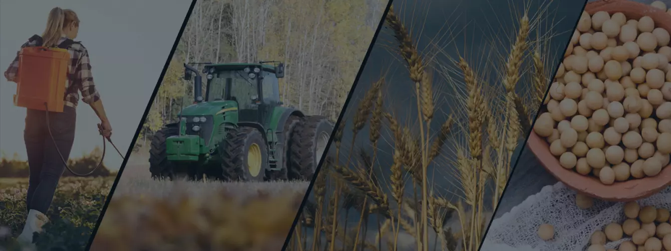 Ratarstvo i povrtarstvo