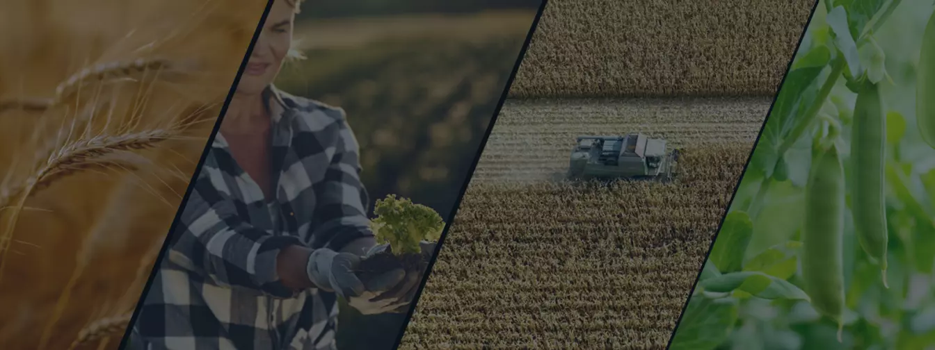 Ratarstvo i povrtarstvo