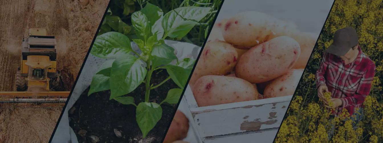 Ratarstvo i povrtarstvo