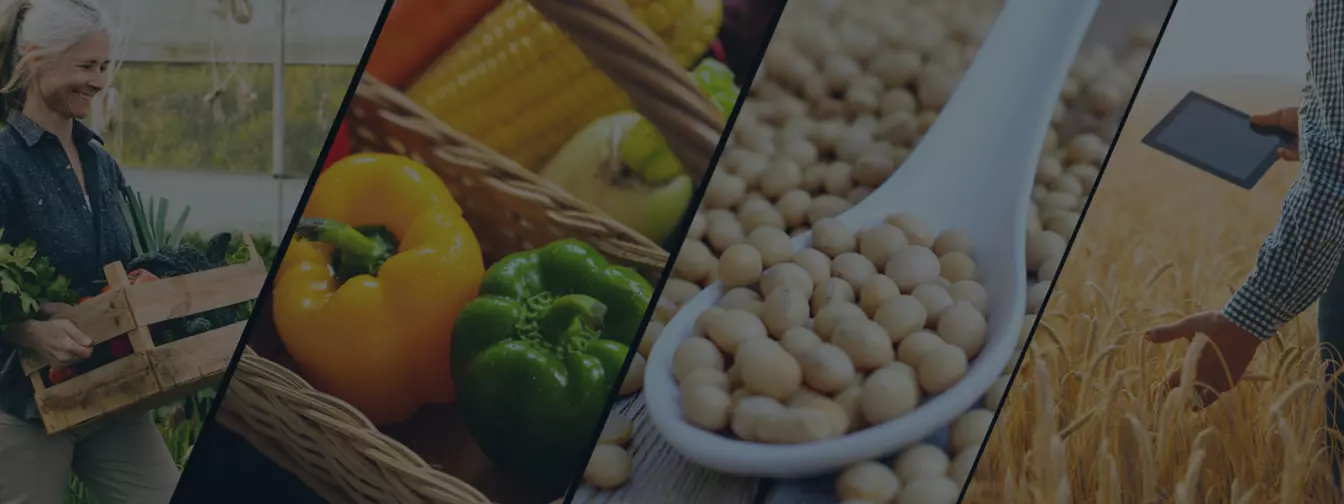 Ratarstvo i povrtarstvo