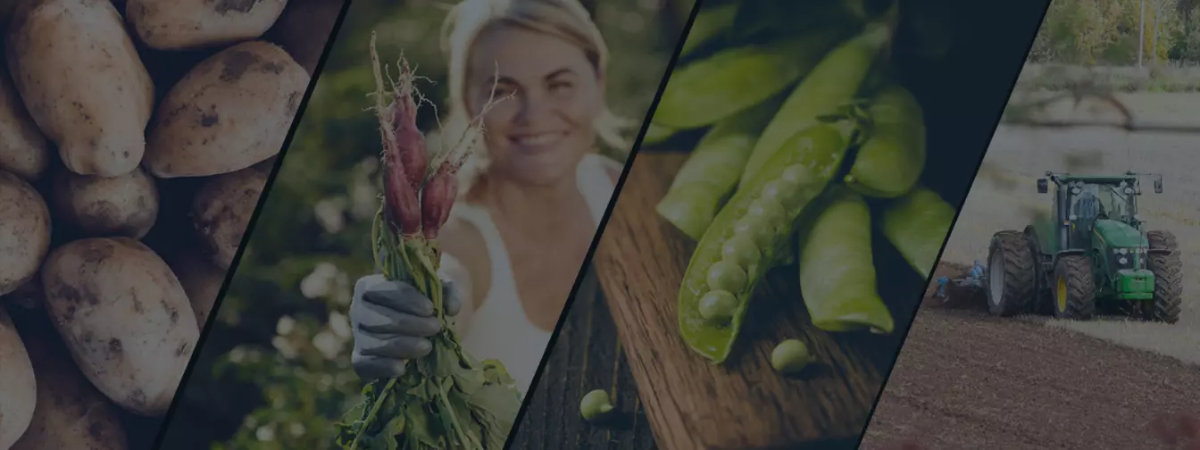 Ratarstvo i povrtarstvo