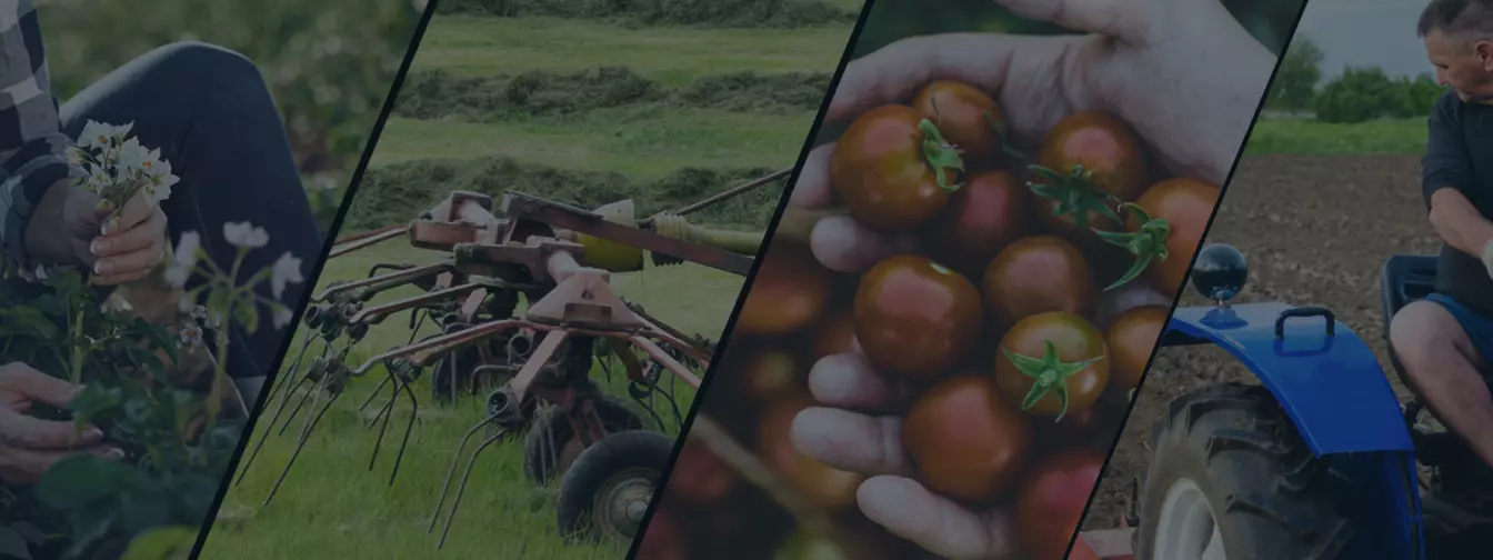 Ratarstvo i povrtarstvo