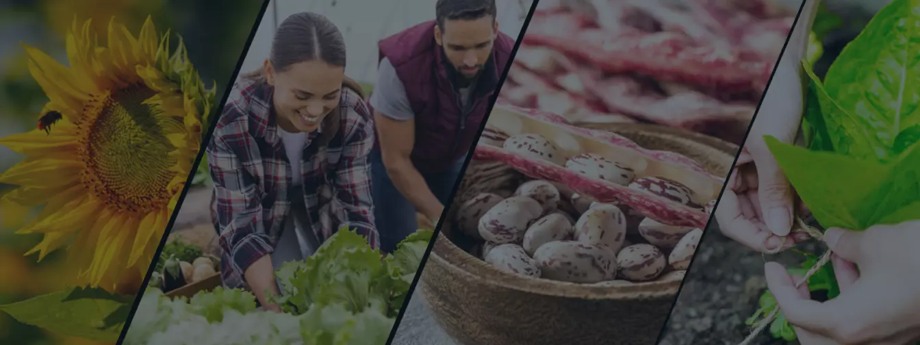 Ratarstvo i povrtarstvo