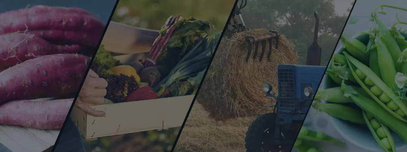 Ratarstvo i povrtarstvo