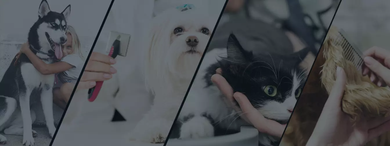 Saloni za kućne ljubimce, šišanje pasa