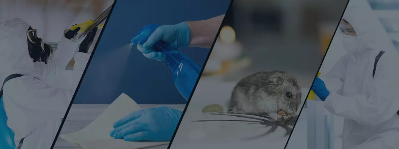 Dezinfekcija, dezinsekcija, deratizacija