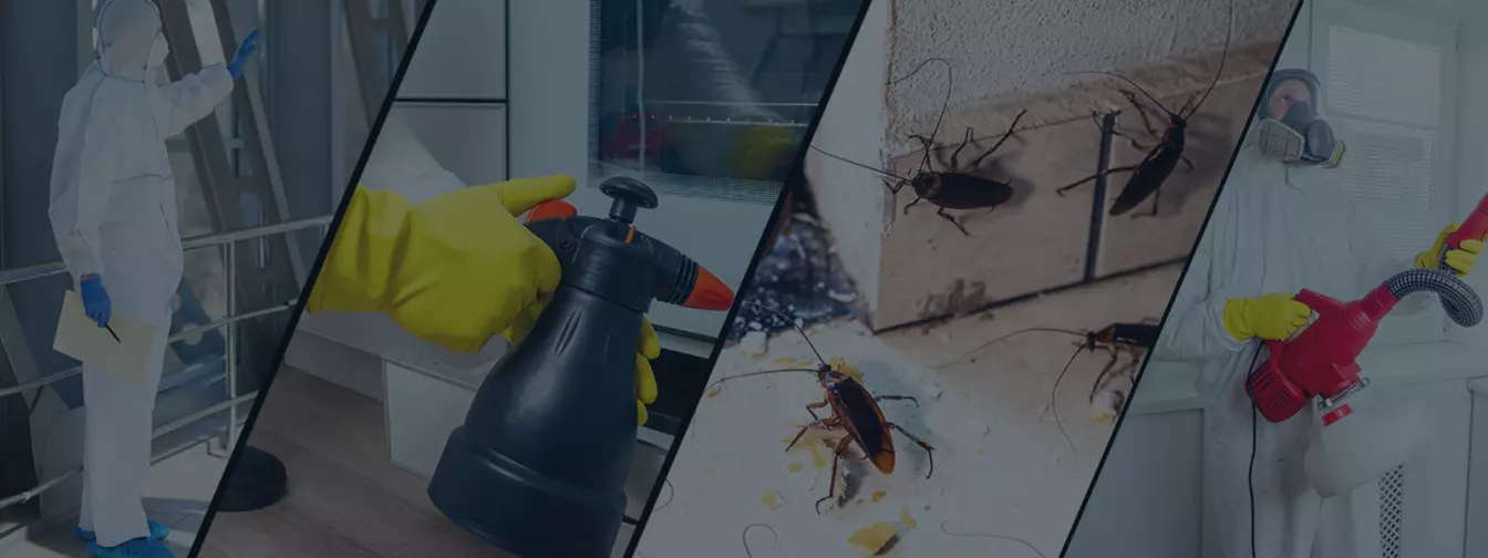 Dezinfekcija, dezinsekcija, deratizacija