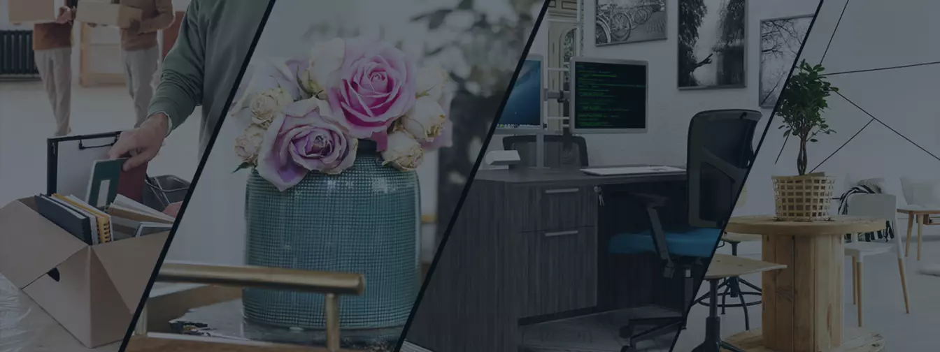 Sve za dom - nameštaj i oprema