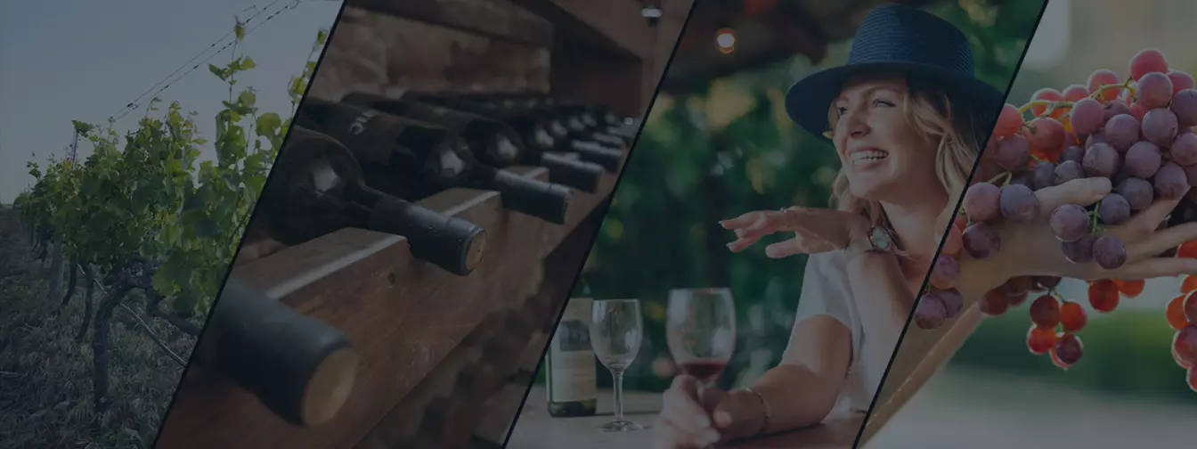 Vinarije i podrumi pića